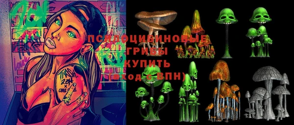 дмт Семикаракорск