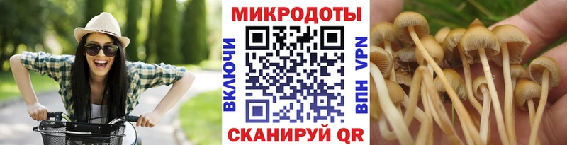 Галлюциногенные грибы мицелий  наркошоп  Новоульяновск 